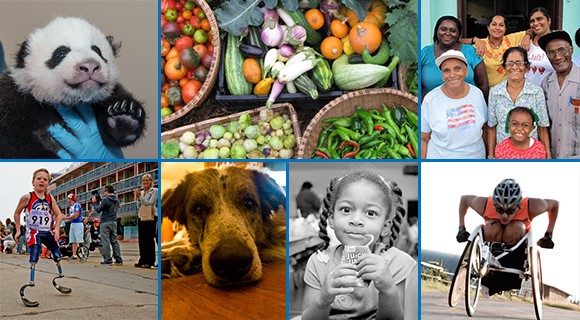 fundraising photo tips collage