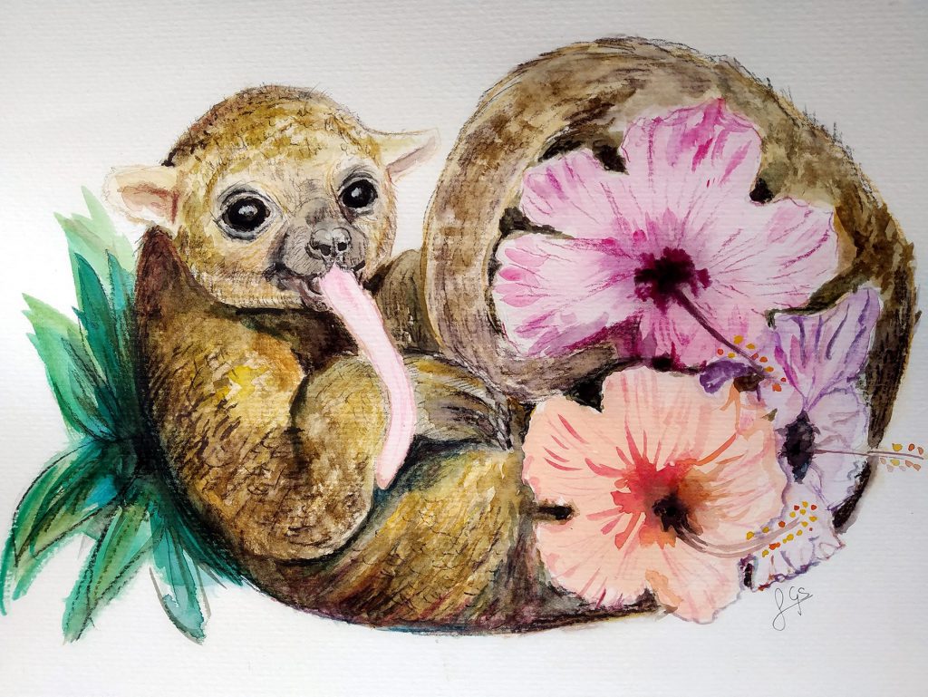 painting of a kinkajou