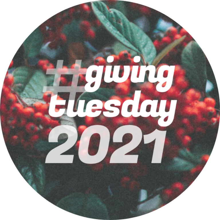 giving tuesday logo on background with holly berries